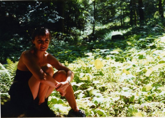 1993 domi 2.jpg