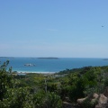DSC05931