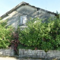 DSC 5536